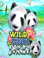 888 พุซซี่โจ๊ก เกอร์ 8899 zjoker 2017 ที่ทุกคนต้องลอง